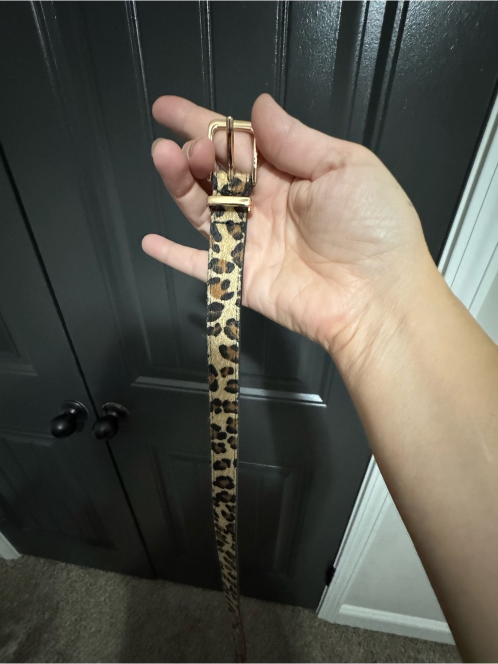 Plus size Leopard Print Belt in Brown & Black